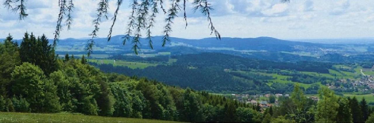 Traumblick Bayerischer Wald, Pool & Sauna, Getraenke, Klimaanlage فرايونغ المظهر الخارجي الصورة