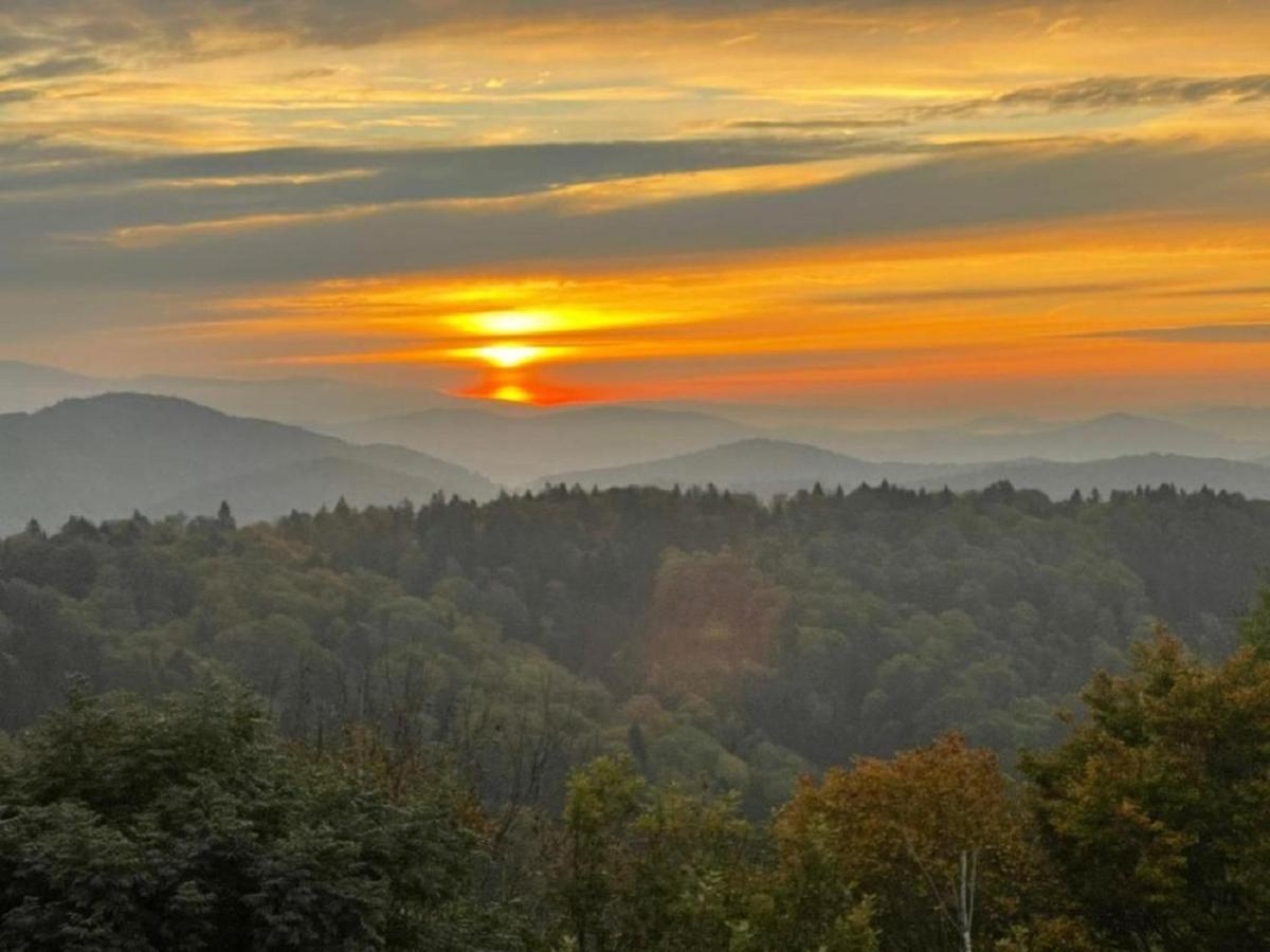 Traumblick Bayerischer Wald, Pool & Sauna, Getraenke, Klimaanlage فرايونغ المظهر الخارجي الصورة