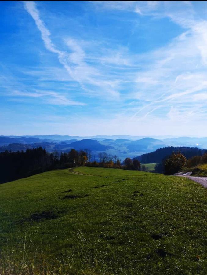 Traumblick Bayerischer Wald, Pool & Sauna, Getraenke, Klimaanlage فرايونغ المظهر الخارجي الصورة