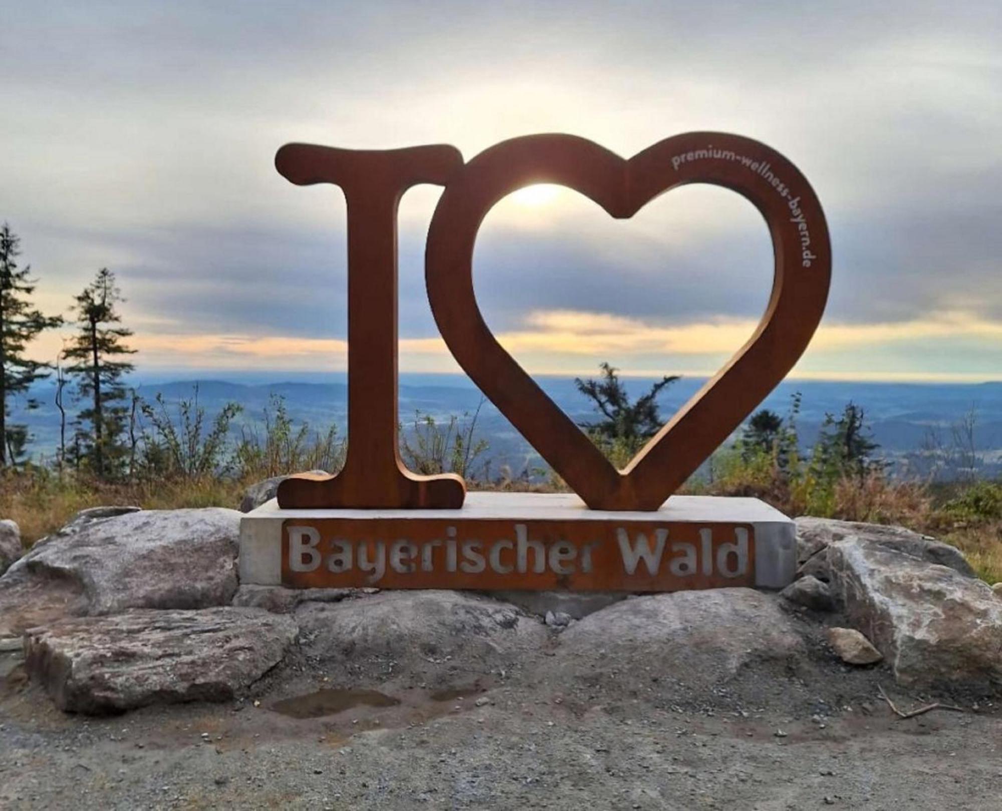 Traumblick Bayerischer Wald, Pool & Sauna, Getraenke, Klimaanlage فرايونغ المظهر الخارجي الصورة